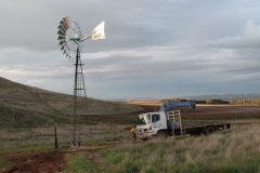ww_wimmera.bungaree.jpg